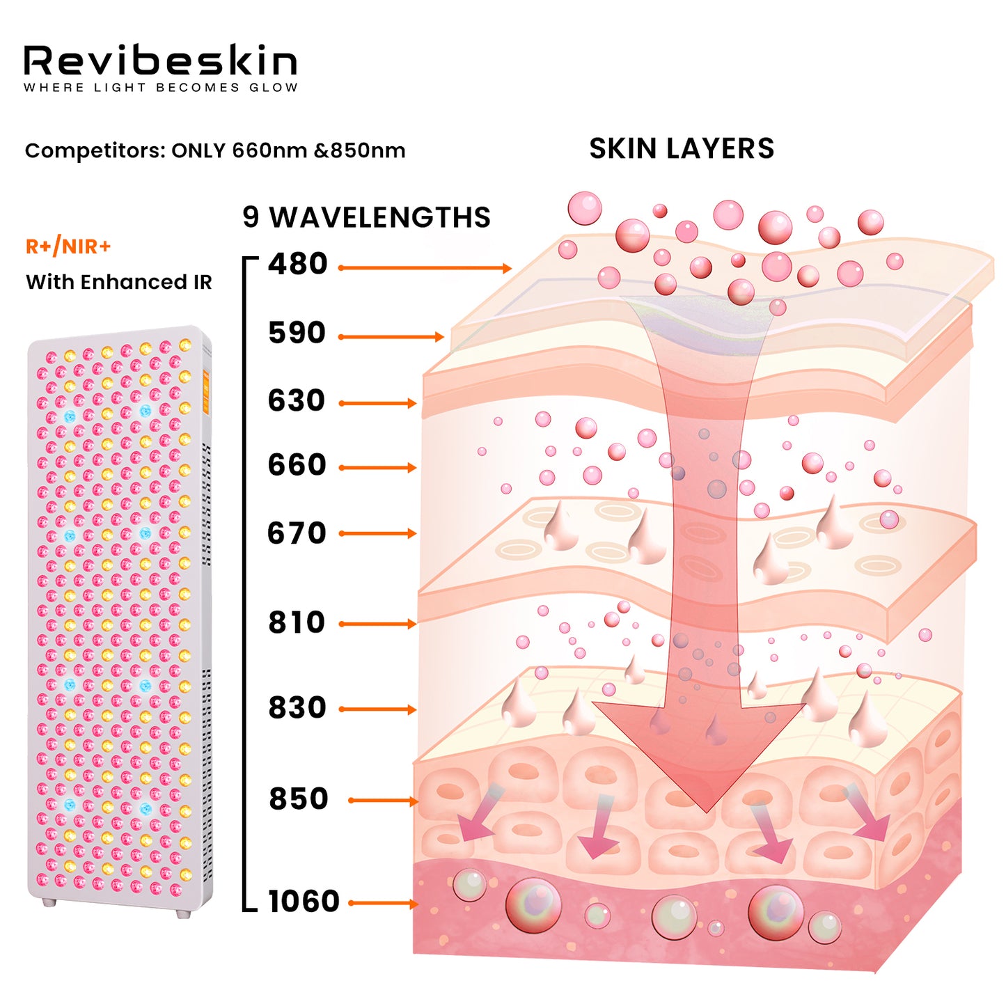 Pannel LED 9 PROWAVES® Large